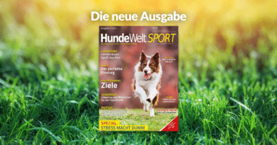 HundeWelt SPORT 3.2022 – Die neue Ausgabe