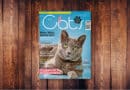 Our Cats 08.2022 <span style='font-size:13px;'>| Die neue Ausgabe</span> 