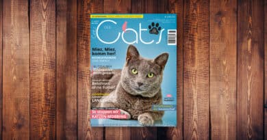 Our Cats 08.2022 <span style='font-size:13px;'>| Die neue Ausgabe</span> 
