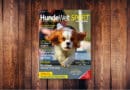 HundeWelt SPORT 4.2022 – Die neue Ausgabe