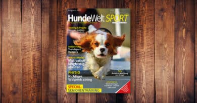 HundeWelt SPORT 4.2022 – Die neue Ausgabe