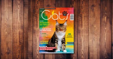 Our Cats 10.2022 <span style='font-size:13px;'>| Die neue Ausgabe</span> 