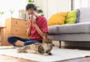 10 Tipps für Katzenallergiker