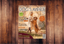 Dog ´s Avenue 6.2022 <span style='font-size:13px;'>| Die neue Ausgabe</span> 