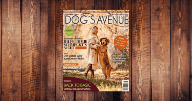 Dog ´s Avenue 6.2022 <span style='font-size:13px;'>| Die neue Ausgabe</span> 