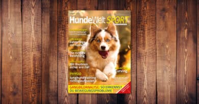 HundeWelt SPORT 5.2022 – Die neue Ausgabe