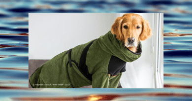 Gewinne einen Bademantel für deinen Hund <span style='font-size:13px;'>| Bis 09.12.2022</span> 