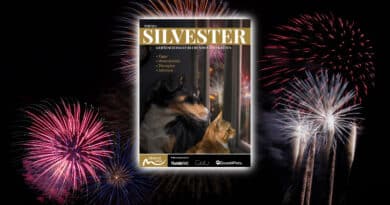 SILVESTER – Geräuschangst bei Hunden & Katzen <span style='font-size:13px;'>| Gratis-Download</span> 