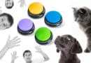 Training Buttons für Hunde und Katzen <span style='font-size:13px;'>| Endlich verstehen wir uns!</span> 