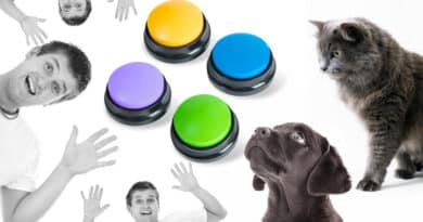 Training Buttons für Hunde und Katzen <span style='font-size:13px;'>| Endlich verstehen wir uns!</span> 