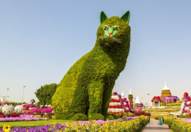 Die Riesenkatze im Dubai Miracle Garden <span style='font-size:13px;'>| Katzen aus aller Welt</span> 