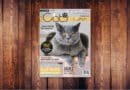 Our Cats 02.2023 <span style='font-size:13px;'>| Die neue Ausgabe</span> 