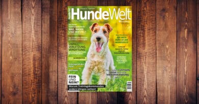 HundeWelt 04.2023 – Die neue Ausgabe