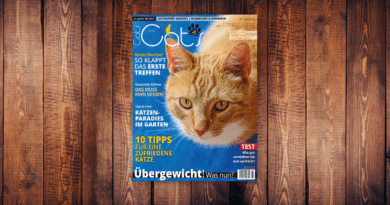 Our Cats 04.2023 <span style='font-size:13px;'>| Die neue Ausgabe</span> 