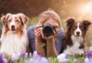 So funktioniert die Hundefotografie <span style='font-size:13px;'>| Instagrammer im Interview</span> 