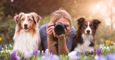 So funktioniert die Hundefotografie <span style='font-size:13px;'>| Instagrammer im Interview</span> 