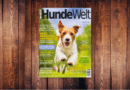 HundeWelt 06.2023 – Die neue Ausgabe