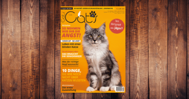 Our Cats 06.2023 <span style='font-size:13px;'>| Die neue Ausgabe</span> 