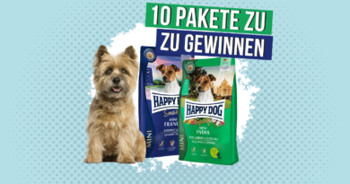 Gewinne eines von 10 Happy Dog Mini Sensible Paketen