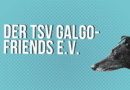 Der Galgo-Friends Kalender 2024