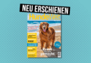 HundeWelt 08.2023 – Die neue Ausgabe