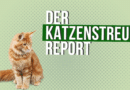 Der Katzenstreu-Report