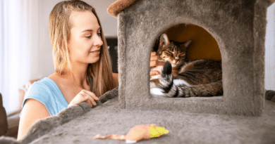 Voll einfach, voll gut – die neuen Katzenfutter von FLORIE