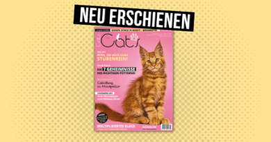 Our Cats 10.2023 <span style='font-size:13px;'>| Die neue Ausgabe</span> 