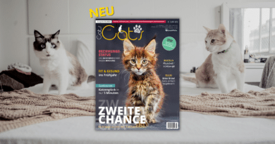 Our Cats 3.2024 <span style='font-size:13px;'>| Die neue Ausgabe</span> 
