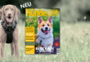 HundeWelt 03.2024 – Die neue Ausgabe