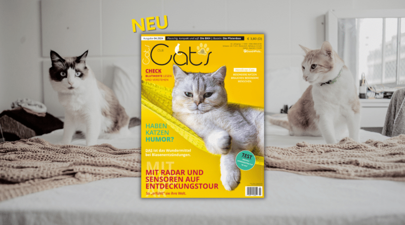 Our Cats 4.2024 <span style='font-size:13px;'>| Die neue Ausgabe</span> 