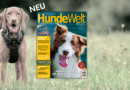 HundeWelt 04.2024 – Die neue Ausgabe