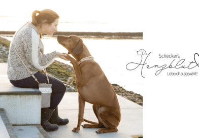 Scheckers Herzblut – Lieblingsstücke für deinen Hund!