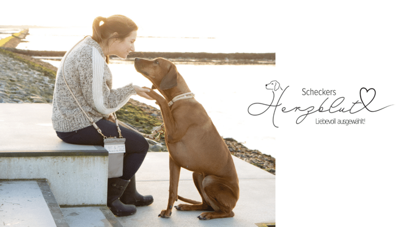 Scheckers Herzblut – Lieblingsstücke für deinen Hund!