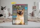 Our Cats 5.2024 <span style='font-size:13px;'>| Die neue Ausgabe</span> 