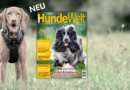 HundeWelt 05.2024 – Die neue Ausgabe